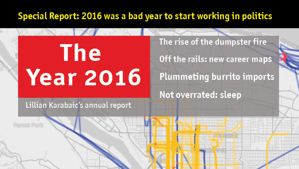 The year 2016: annual report