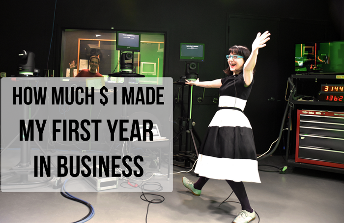 "How Much Money I made my first year in business"