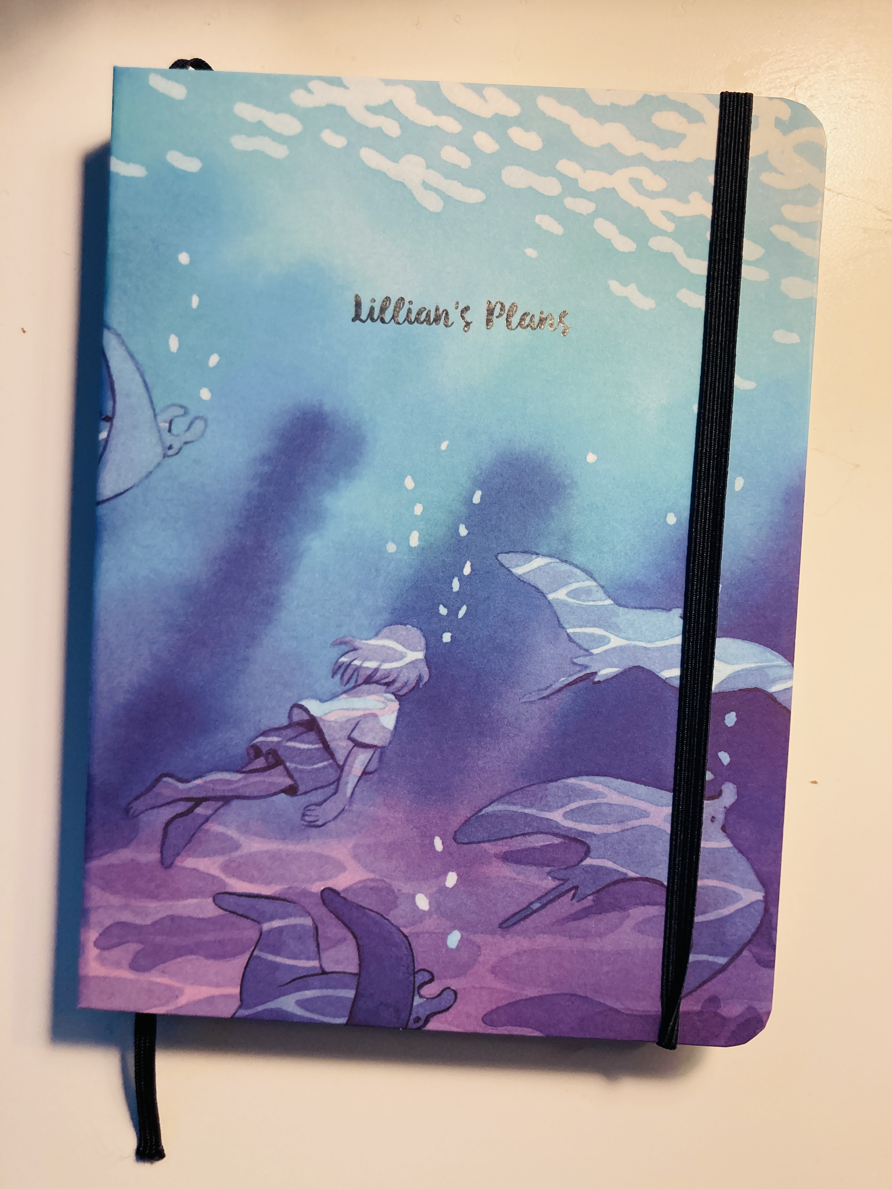 A notebook on a white background with a blue and green and purple cover with a girl swimming and the words "Lillian's Plans"