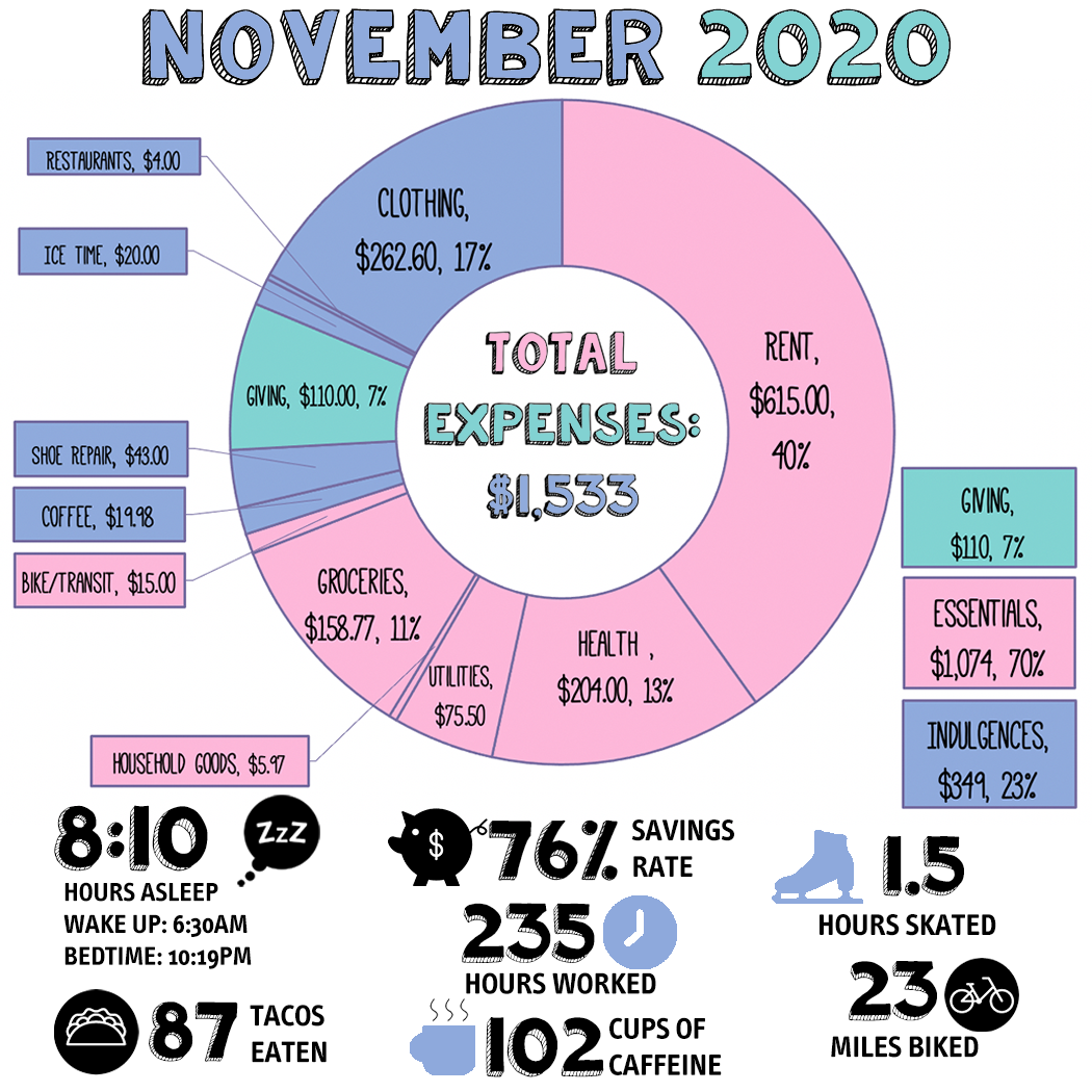 A donut chart showing total expenses for teh month of november and other metrics