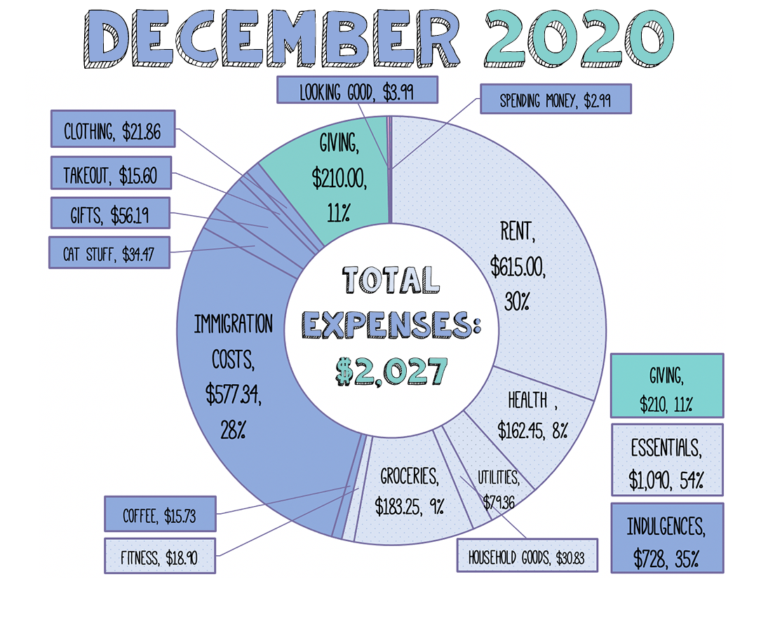 A donut chart showing total expenses for teh month of December 2020