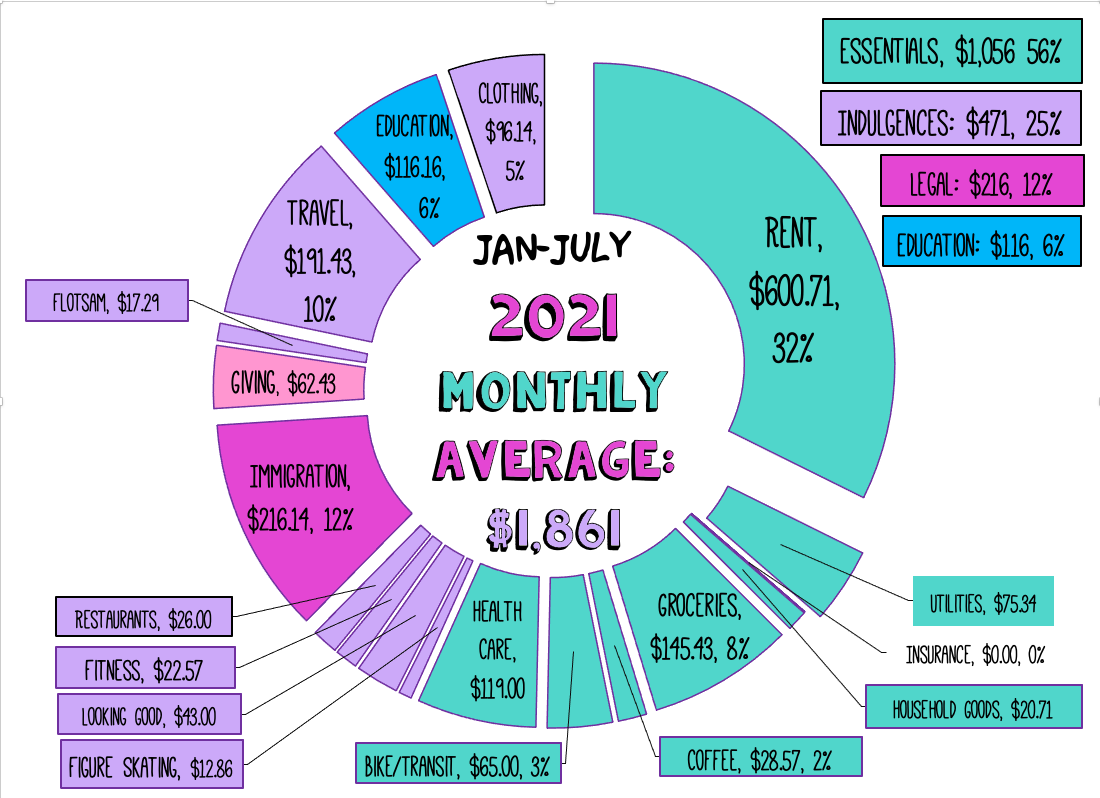 Displays a colorful pie chart showing total expenses for January 2021 to July 2021