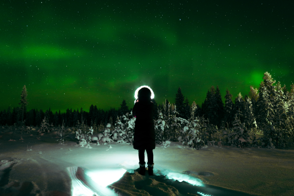 A shadowed figure stands in front of a bright green star-filled sky